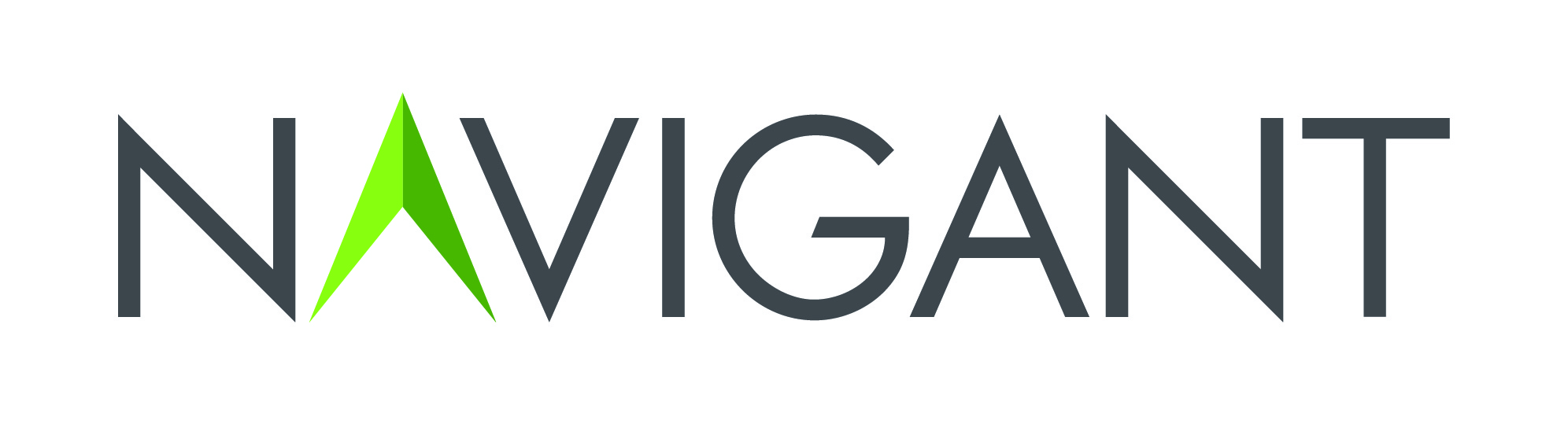 Navigant Consulting Inc.